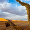NAM HAR Dune45 2016NOV21 077 : 2016 - African Adventures, Hardap, Namibia, Southern, Africa, Dune 45, 2016, November